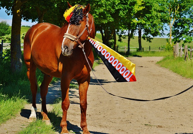 上海上港以 上海上港以