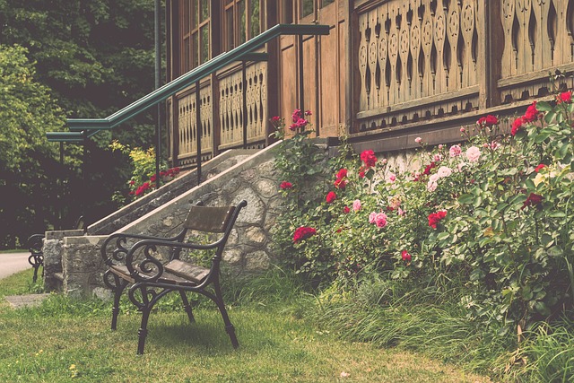 些体育健儿 些体育健儿