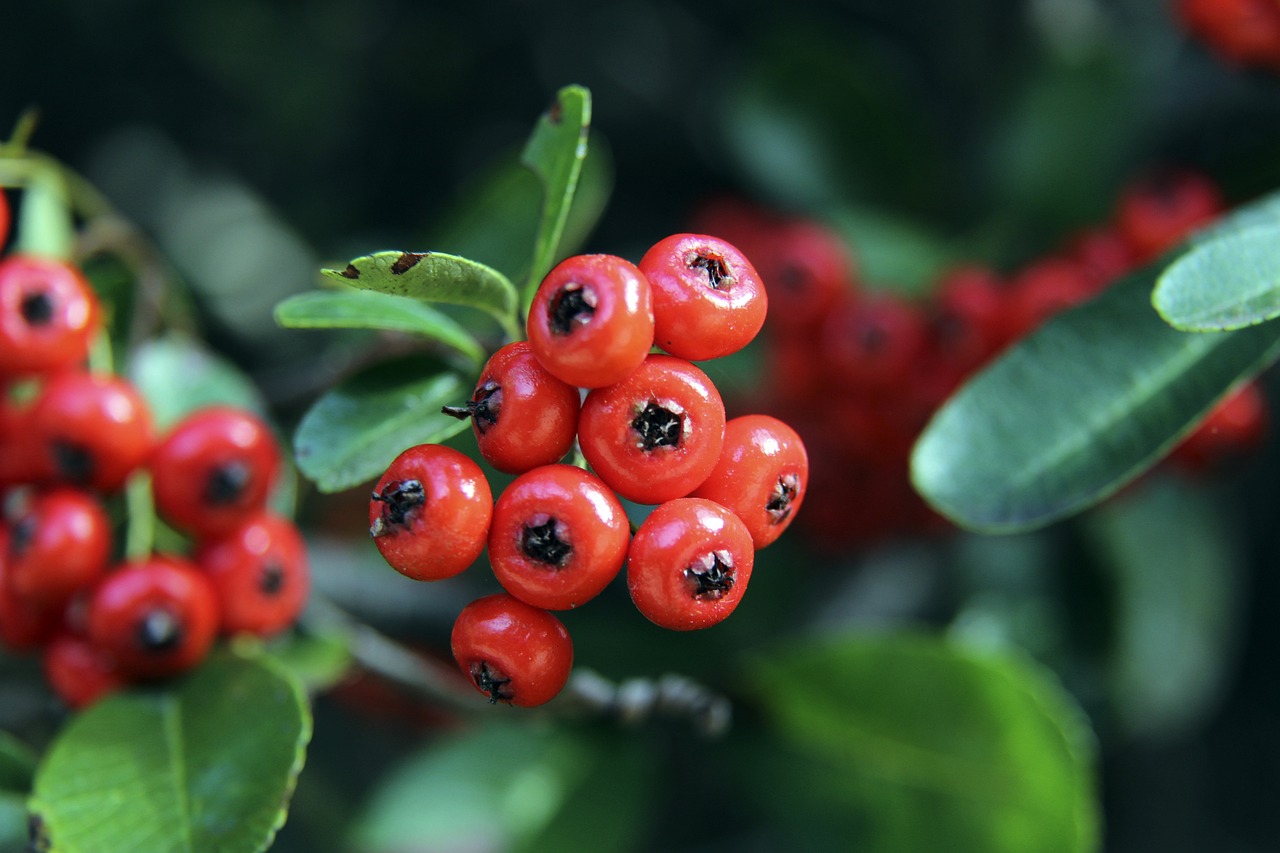 2024，中国向“新”而行.