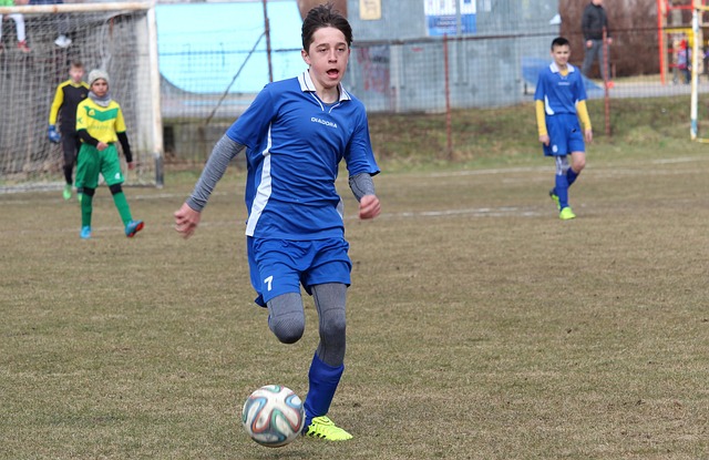 拿波利的失 拿波利的失