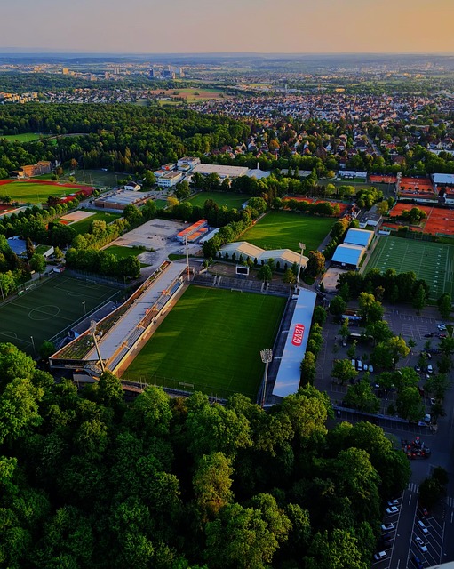 球迷和行业 球迷和行业